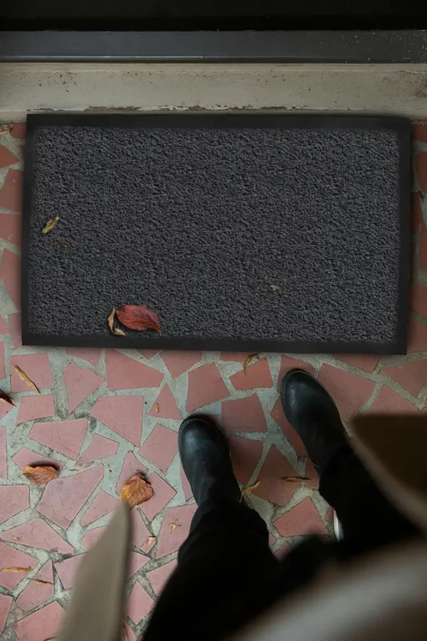 Tapis d'entrée gris