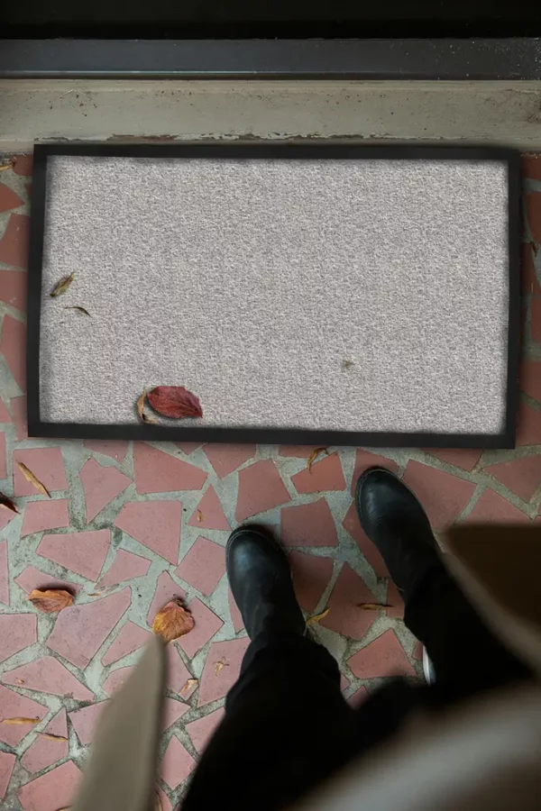 Tapis d'entrée gris clair
