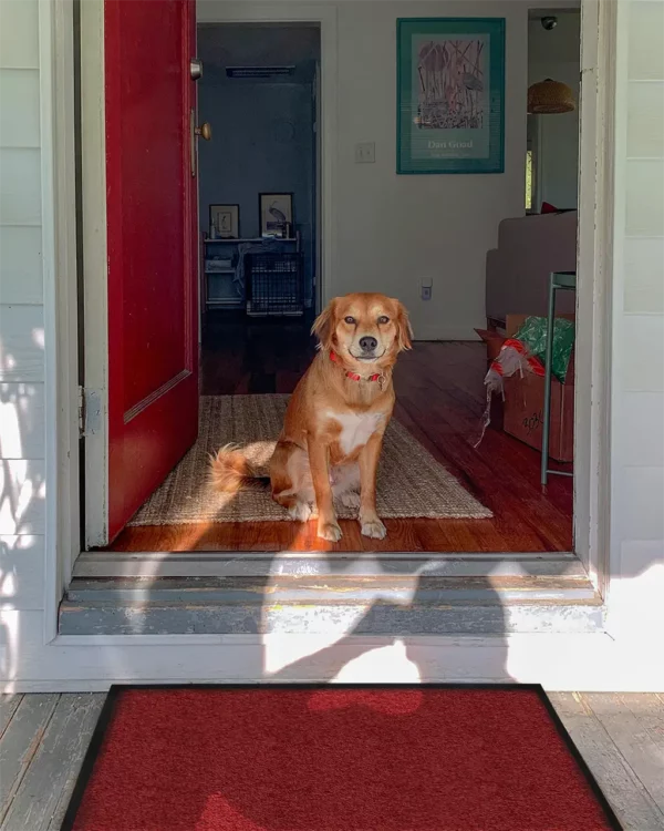 Tapis d'entrée rouge